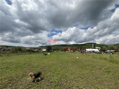 45 ari teren intravilan, Saniacob - foto 7