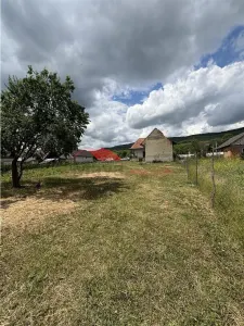45 ari teren intravilan, Saniacob - foto 10