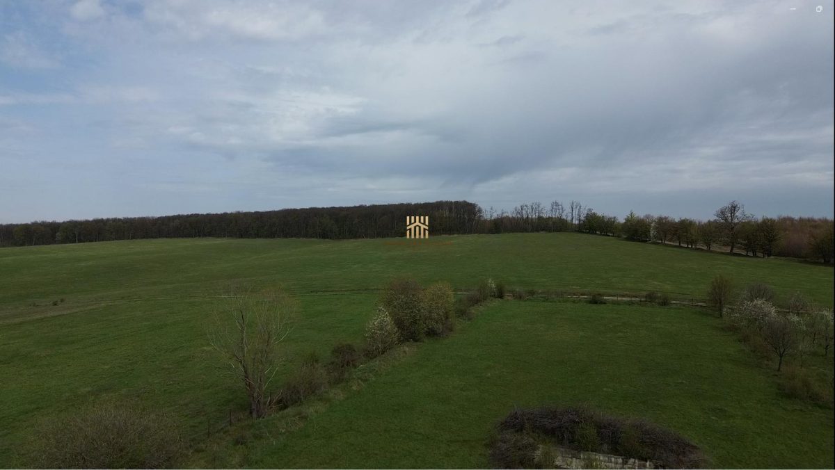 Teren intravilan 5800 mp Mitocasi - Suceava! - Mitocasi