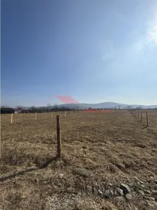 Teren 40 ari Intravilan, Livezile - foto 4
