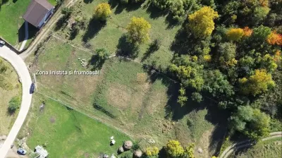 Teren Intravilan de Vânzare în Stațiunea Turistică Cacica, Bucovina | 3.500 mp | Ideal pentru Cabane, Pensiune, Casă de Vacanță sau Centru Wellness | - foto 4