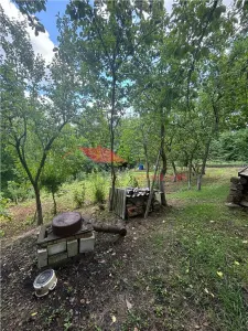 2 Case cu 41 ari teren, Ilisua - foto 4