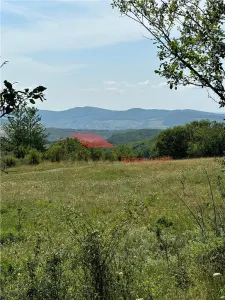 10 ari teren extravilan, zona cartier RAAL - foto 5