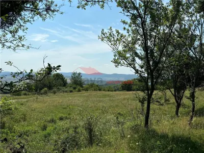 10 ari teren extravilan, zona cartier RAAL - foto 8