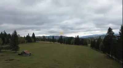 Teren 2804 mp, la munte! In Bucovina – Fundu Moldovei! - foto 11