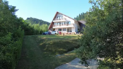 CASĂ DE VACANȚĂ DE VÂNZARE ÎN BUCOVINA | MĂLINI HERLA | 2.000 MP TEREN | 5 DORMITOARE CU BĂI PROPRII | TERASĂ 50 MP - foto 13