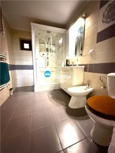 Vila individuala P+E+M 160 mp, 790 teren– Lunca Cetatuii, Str. Editurii - foto 12