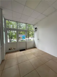 Spatiu de inchiriat,48 mp,stradal,sos Nicolina - foto 5