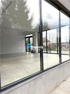 Spatiu cu vad, 164 mp, Valea Adanca , Iasi - foto 3