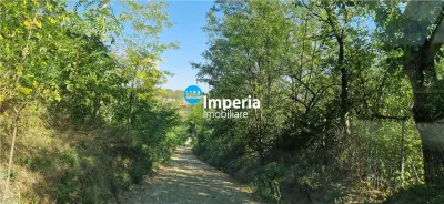 Teren intravilan de vanzare in Iasi, amplasat in zona Holboca-Ruseni - foto 6