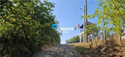 Teren intravilan de vanzare in Iasi, amplasat in zona Holboca-Ruseni - foto 8
