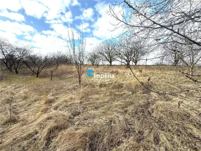 Teren intravilan 4800 mp, investitie,  utilitati complete, Dancas Miroslava - foto 4