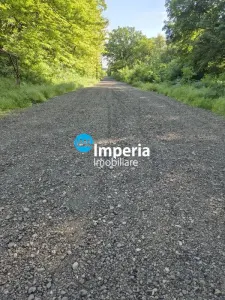 Teren si Duplex pe 850 mp, in Padurea Ciurbesti Miroslava, Iasi - foto 5