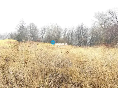 Teren 900 mp, Paun  Bucium,  Autorizatie, bransamente, padure. - foto 9