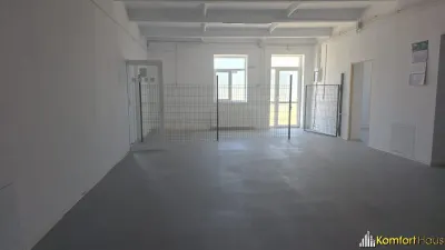 Hala in Letea Veche 423 mp cu teren 1190 mp - foto 7