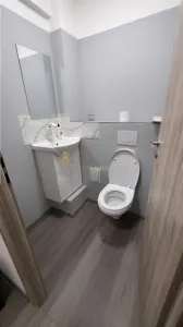 SPATIU COMERCIAL 91 MP LA CHEIE ZONA STRAZII GALAXIEI - foto 14