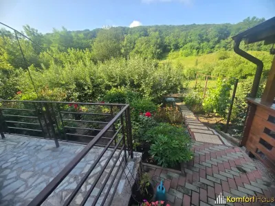 Casa in Luncani cu teren 5500 mp - foto 5