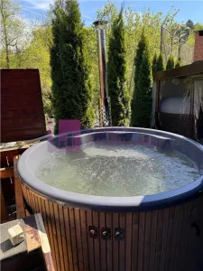 Afacere la cheie de vanzare | pensiune Valea Avrigului | moderna si profitabila - foto 25