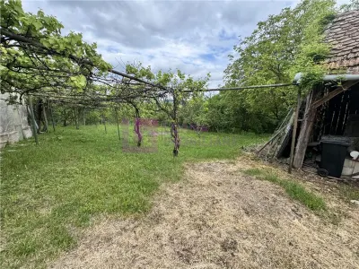 Casa individuala de vanzare in Nucet | Rosia | teren 1526 mp | livada, pivnita - foto 2