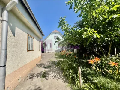 Casa de vanzare  | 2 constructii | 540 mp teren |  zona Lupeni | pivnita - foto 1