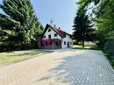 Casa de vacanta 7 camere | Valea Avrigului | teren 1000 mp | video - foto 9