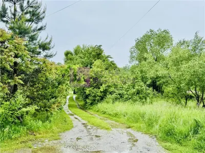 Teren intravilan 1600 mp | Valea Avrigului | zona turistica - Avrig