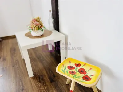 Afacere la cheie | Pensiune de 3 margarete | Paltinis | video - foto 15