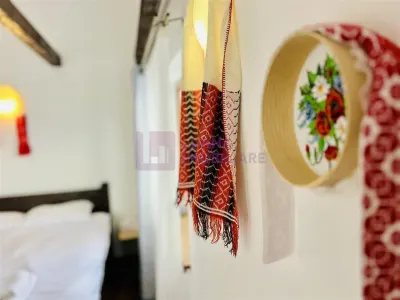 Afacere la cheie | Pensiune de 3 margarete | Paltinis | video - foto 17