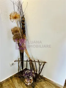 Afacere la cheie | Pensiune de 3 margarete | Paltinis | video - foto 22