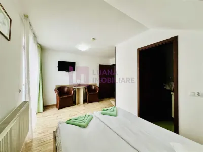 Afacere la cheie | Vila de 3 stele | Paltinis | amenajata complet - foto 14