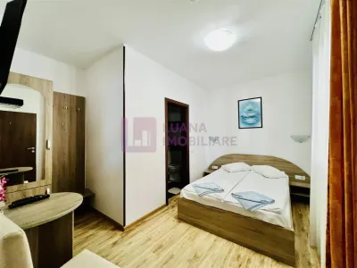 Afacere la cheie | Vila de 3 stele | Paltinis | amenajata complet - foto 17