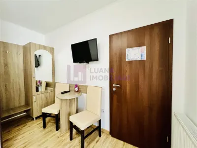 Afacere la cheie | Vila de 3 stele | Paltinis | amenajata complet - foto 18
