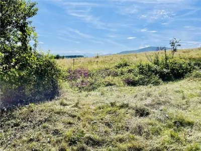 Teren 3581 mp | Marginimea Sibiului | priveliste superba - foto 9