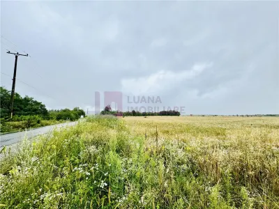 Teren intravilan 5.000 mp | Valea Avrigului | front dublu - foto 1