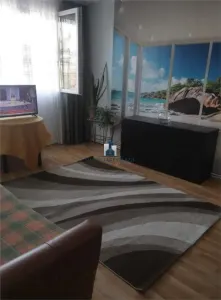 Inchiriere Apartament 3 Camere Decomandat Emil Racovita - foto 3