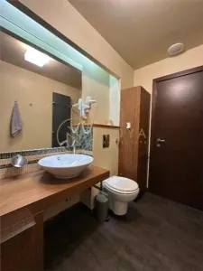 Inchiriere Apartament 3 camere Piata Alba Iulia - foto 9