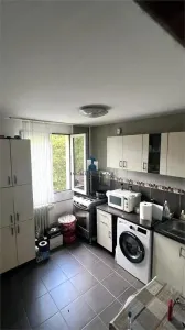 Vanzare Apartament 2 Camere Decomandat Berceni-Izvorul  Muresului - foto 3