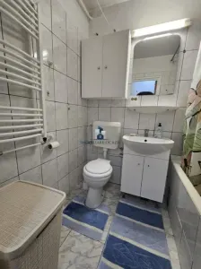 Vanzare Apartament 2 Camere Decomandat Giurgiului-Al.Calinesti - foto 7
