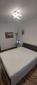 Apartament 2 Camere Semidecomandat Emil Racovita - foto 7