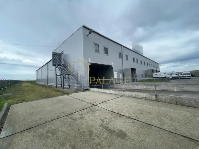 Hala Industriala Premium Letcani Complet Echipata - foto 2