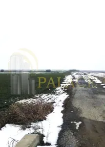 Teren agricol 100 ha| Comasat 100%| Categoria A1 - foto 4