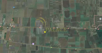 Teren agricol 100 ha| Comasat 100%| Categoria A1 - foto 5