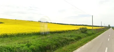 Teren agricol 64 ha comasat| Deschidere 800 m la drum comunal | Utilitati disponibile - Bucuresti