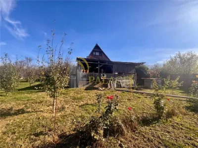 Proprietatea deosebita cu 4000mp teren, Barnova - foto 3