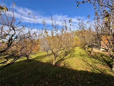 Proprietatea deosebita cu 4000mp teren, Barnova - foto 6