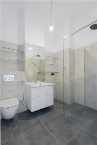 Penthouse Copou Universitate, 200 mp, 2 locuri de parcare subterane - foto 19