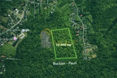 Teren intravilan 10.000 mp , Bucium ,Paun, zona linistita - Iasi