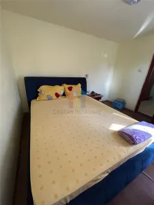 Casa 3 cam teren  239mp 82mp utili Islaz - Plantelor - foto 7