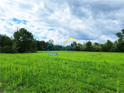 Teren extravilan de vanzare Poiana Campina - foto 1