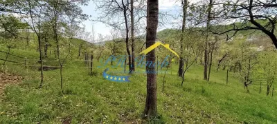 Casa de vanzare, Breaza - foto 3
